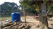BADO Dalu